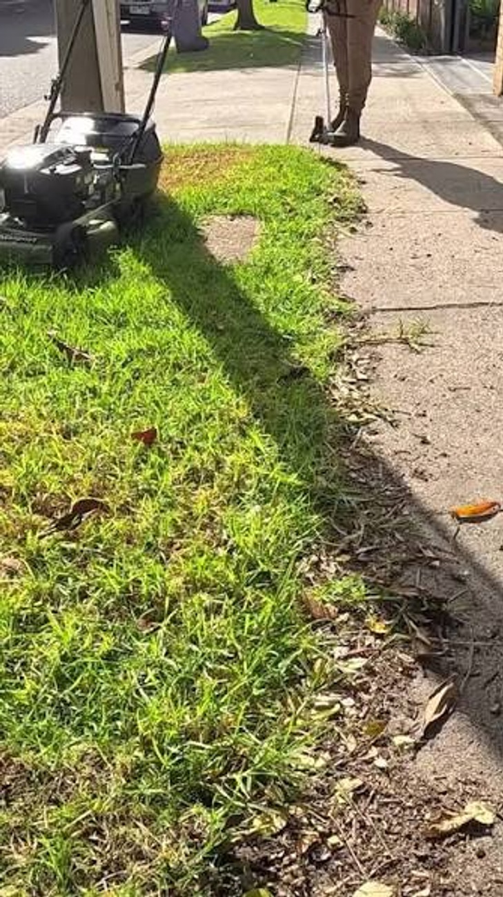 Yard cleanup and sidewalk debris